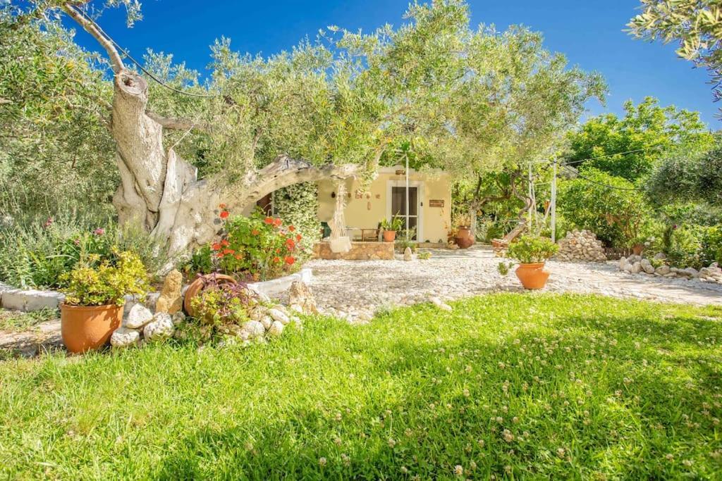 Anthia Private Studio A Breath Away From Beaches Ayios Nikitas Ngoại thất bức ảnh